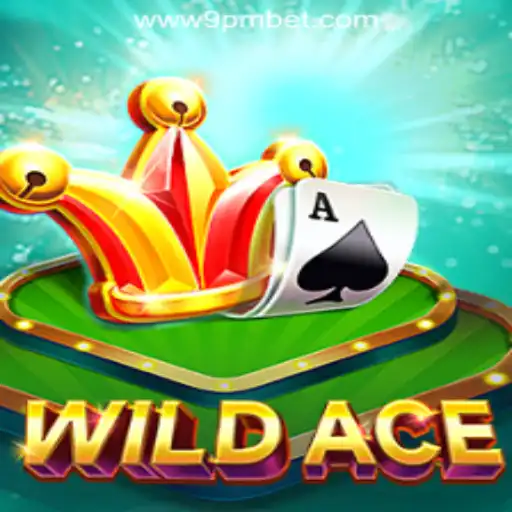 Exploring WildAce: An Intriguing Adventure Awaits